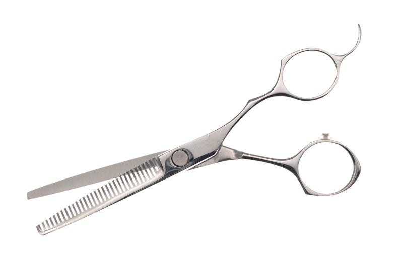 Seki Edge Stainless Steel Blending Scissors (SS-704) - Image 1
